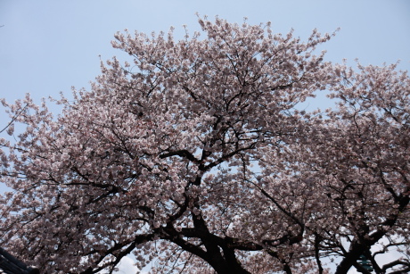 2010041041