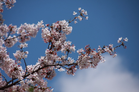2010041042