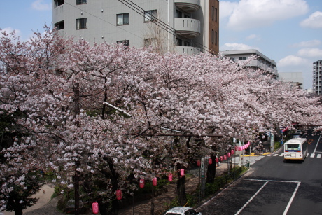 2010041043