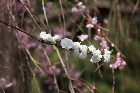 2010041045