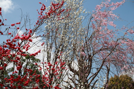 2010041046