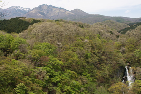 2010051406