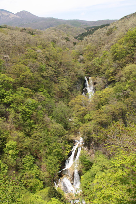 2010051407