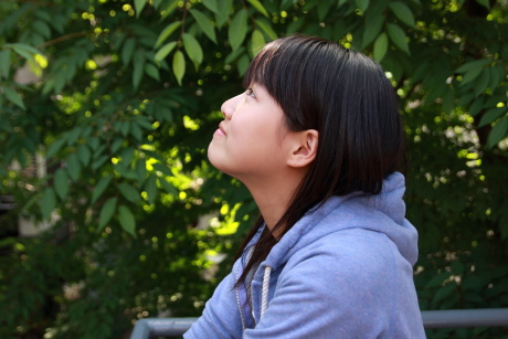 2010061113