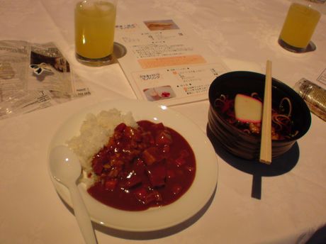 2011010133