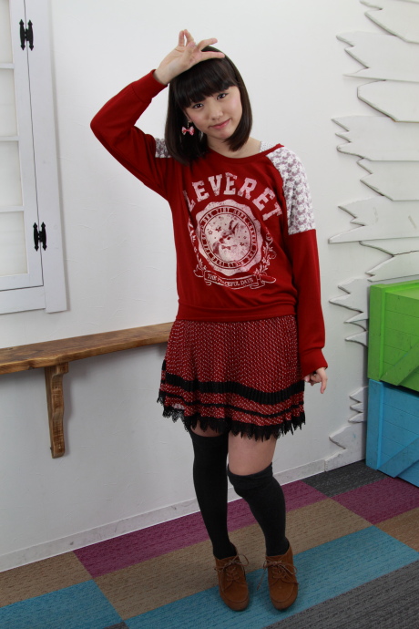 2012042528