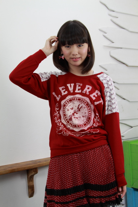 2012042529